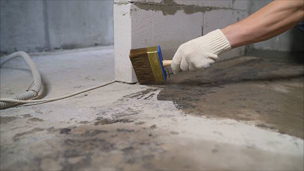 SJ Waterproofing Pros Waterproofing coverage map for Foster, KY and surrounding area